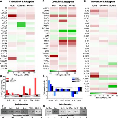 Ibuprofen Treatment Reduces the Neuroinflammatory Response and Associated Neuronal and White Matter Impairment in the Growth Restricted Newborn